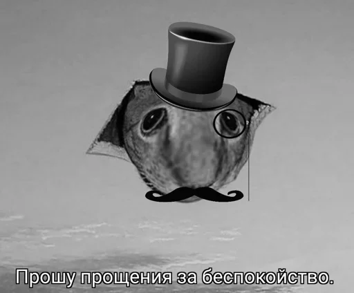 Джентльмены - СМС