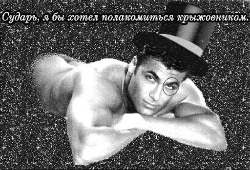 human face person man