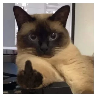 Стикер Суета - 8