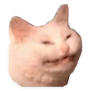 Sticker SufferingCats - 6