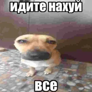 Sticker ጠ / ሚ አብይ  @Stikerhi_bot - 7