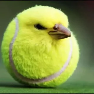 Sticker ጠ / ሚ አብይ  @Stikerhi_bot - 11