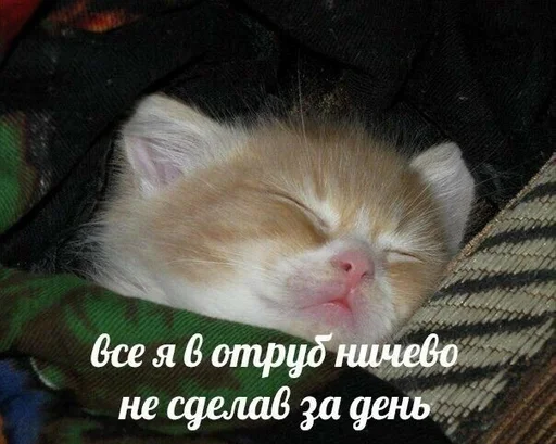 Стикер Идинахуй by @fStikBot - 9