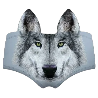 Sticker Сука динаху - 5