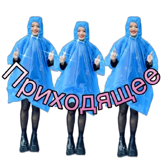 Sticker Pisya korolevA - 5