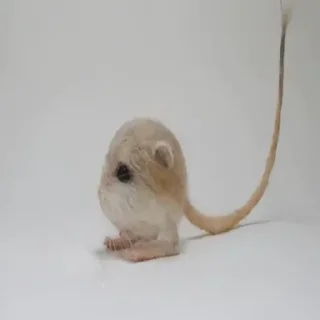 Стикер suka - 9