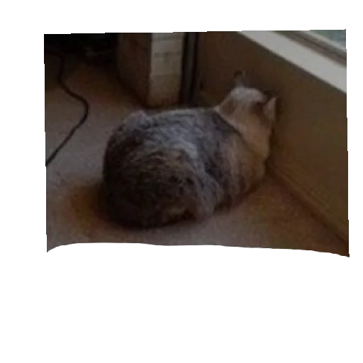 Sticker Sumasshedshaya1 - 1