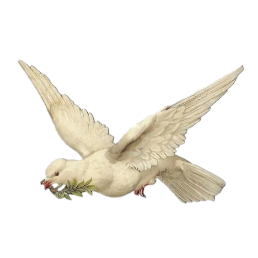 Sticker SummerSvalkablin - 1