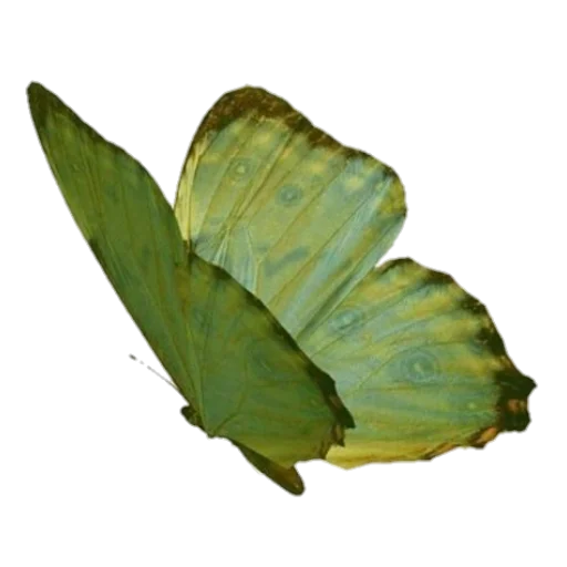 summer @svalkablin - 