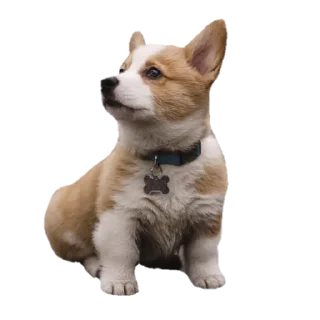 Sticker summer @svalkablin - 0