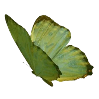 Sticker summer @svalkablin - 8