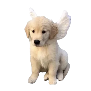 Sticker summer @svalkablin - 9