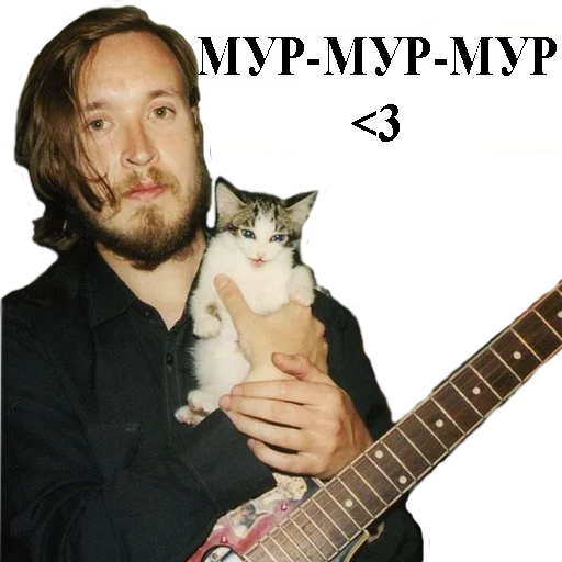 музыкальный инструмент гитара животное