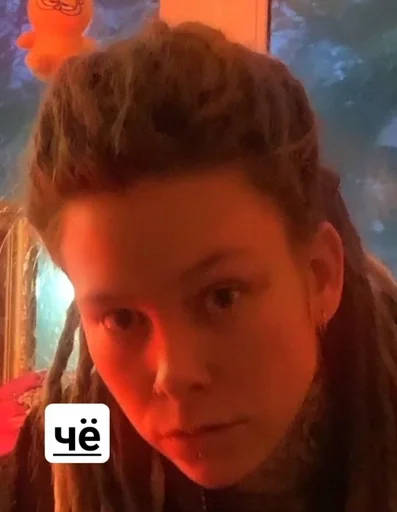 person human face hairpiece