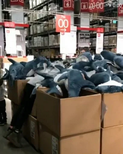 text carton cardboard