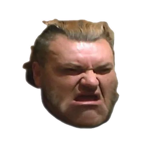 человеческое лицо лоб щека