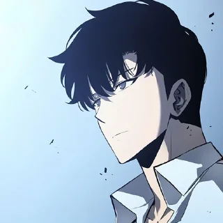 Sticker Sung Jin Woo (@TodorokiShouto) - 10