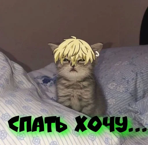 Стикер Чифую :: @fStikBot - 8