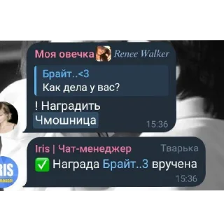 Sticker Sunny Mice - 2