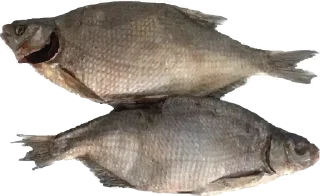 Sticker Food_Addicted - 11