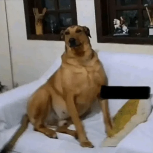 Sticker Supermegameme123 - 1