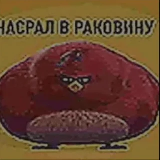 Sticker мега набор мемов - 3