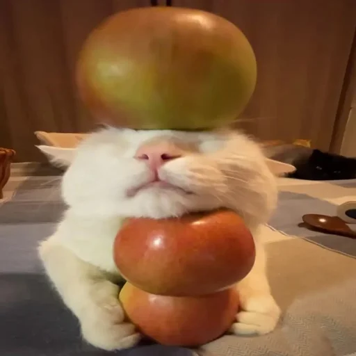 Sticker Supersillycars - 1