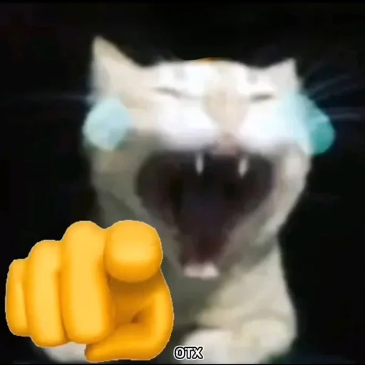 Стикер Supersillycars - 1