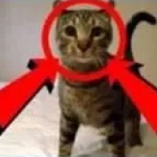 Sticker sexcats2007 - 10