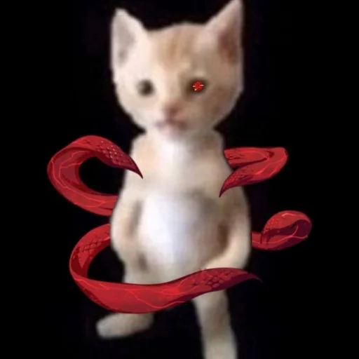 Sticker sexcats2007 - 7