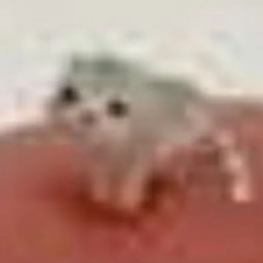 Sticker sexcats2007 - 1