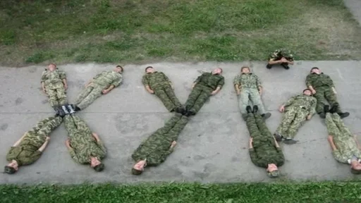 grass outdoor camouflage