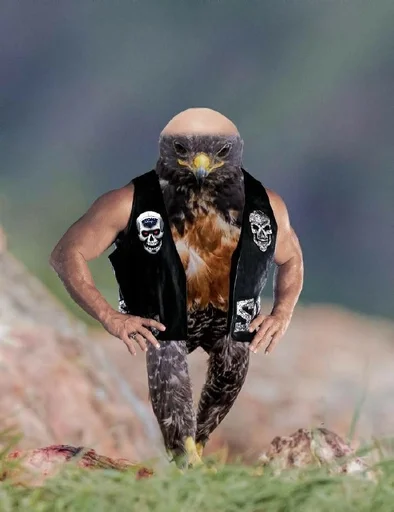 outdoor grass hiking