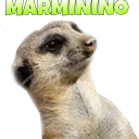 Sticker Suricate Seboso - 6