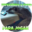 Sticker Suricate Seboso - 10