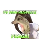 Sticker Suricate Seboso - 5