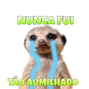 Sticker Suricate Seboso - 1