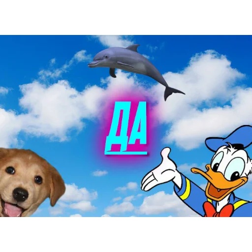 животное собака небо