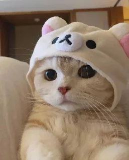 Стикер Ооо - 6