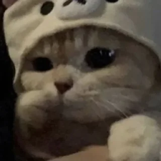 Стикер Ооо - 4