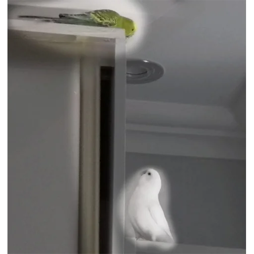 Sticker SuziePuzie - 1