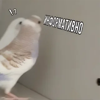 Стикер Сьюзи Пузи - 3