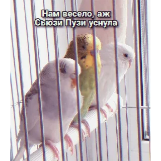 Стикер Сьюзи Пузи - 11