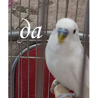 Стикер Сьюзи Пузи - 9