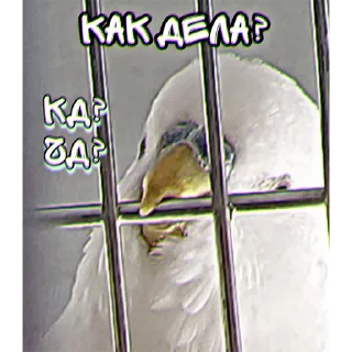 Стикер Сьюзи Пузи - 5