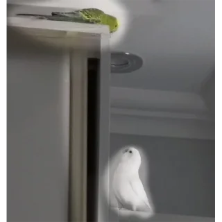 Стикер Сьюзи Пузи - 2