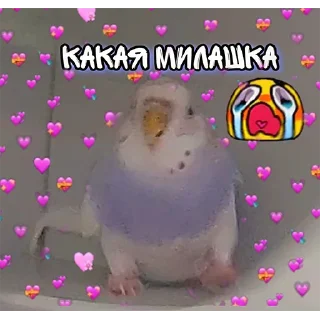 Стикер Сьюзи Пузи - 1