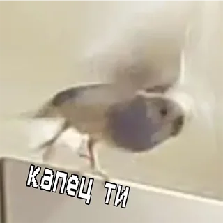 Стикер Сьюзи Пузи - 4