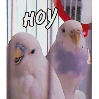 Стикер Сьюзи Пузи - 8