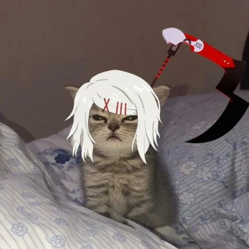 animal mammal cartoon